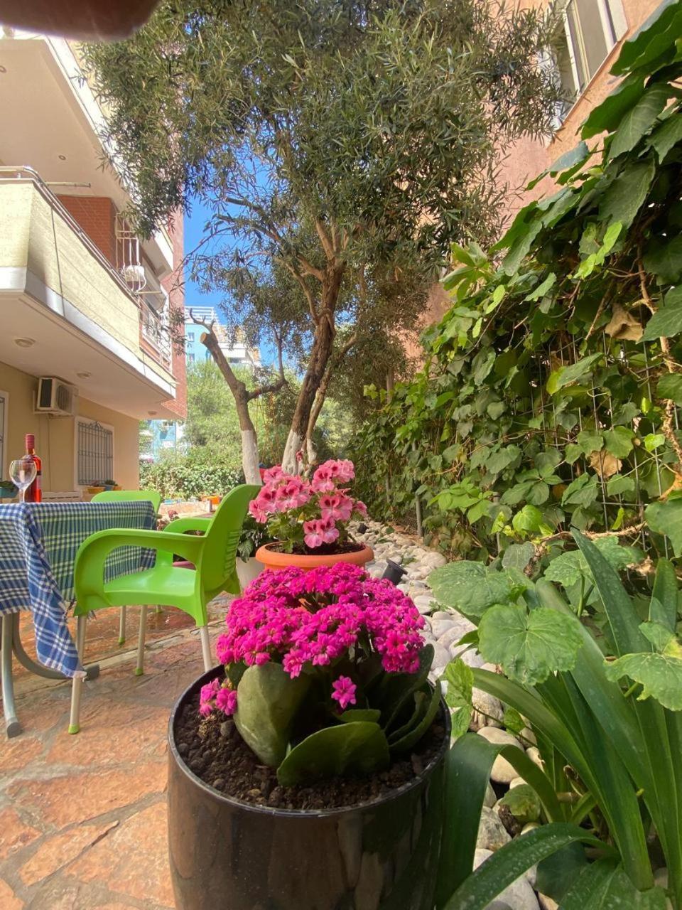 Olive Tree Apartment Saranda Extérieur photo